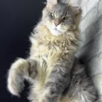 Ragnar
